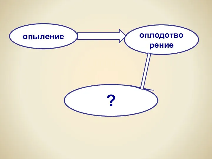 опыление оплодотворение ?