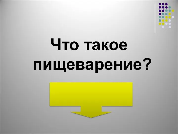 Что такое пищеварение?