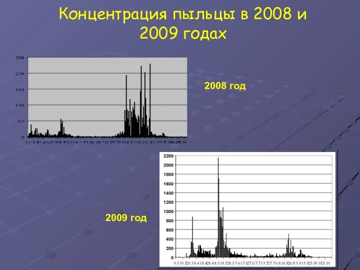 Концентрация пыльцы в 2008 и 2009 годах 2009 год 2008 год