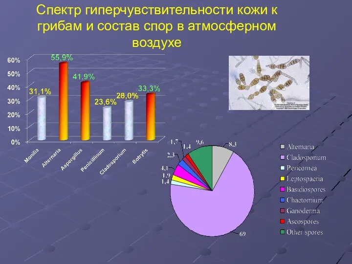 Спектр гиперчувствительности кожи к грибам и состав спор в атмосферном воздухе