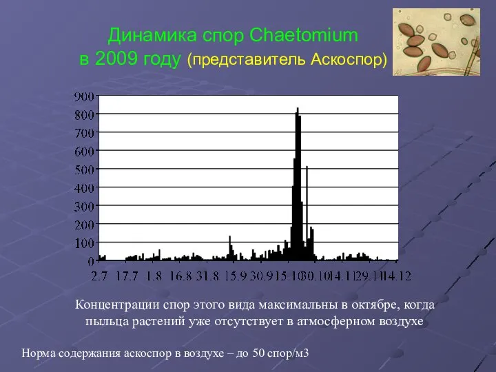 Динамика спор Chaetomium в 2009 году (представитель Аскоспор) Концентрации спор этого