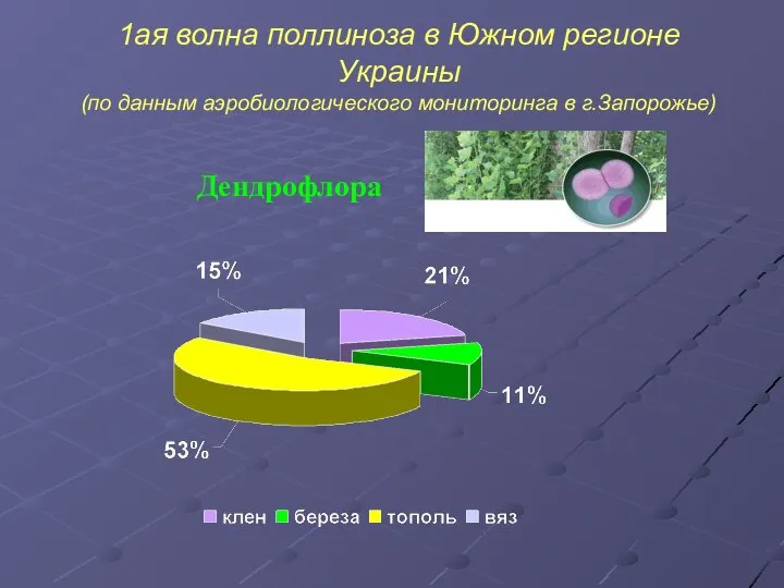 1ая волна поллиноза в Южном регионе Украины (по данным аэробиологического мониторинга в г.Запорожье) Дендрофлора