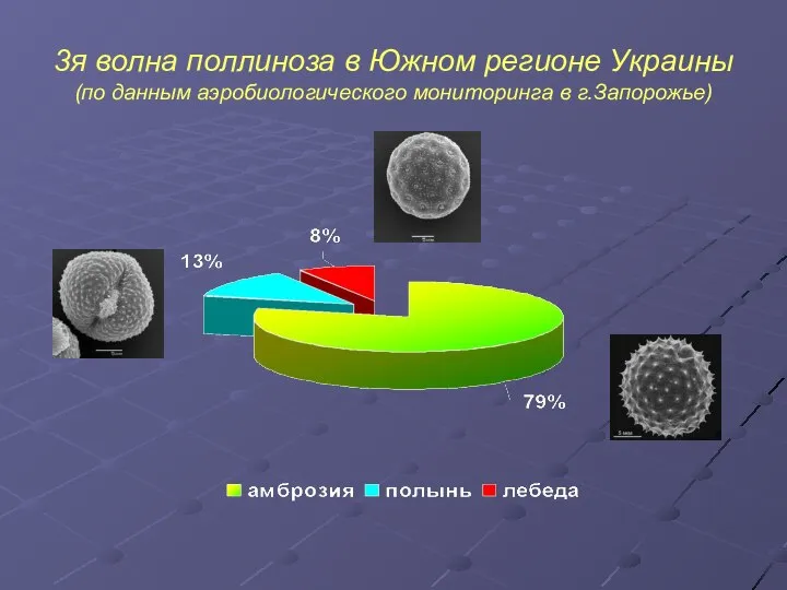 3я волна поллиноза в Южном регионе Украины (по данным аэробиологического мониторинга в г.Запорожье)