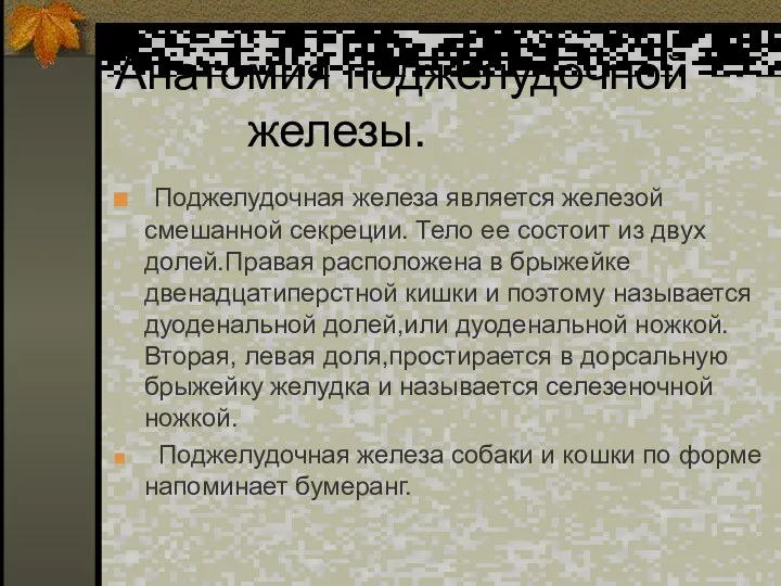 Анатомия поджелудочной железы. Поджелудочная железа является железой смешанной секреции. Тело ее