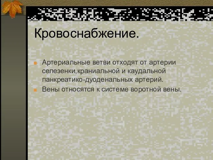 Кровоснабжение. Артериальные ветви отходят от артерии селезенки,краниальной и каудальной панкреатико-дуоденальных артерий.