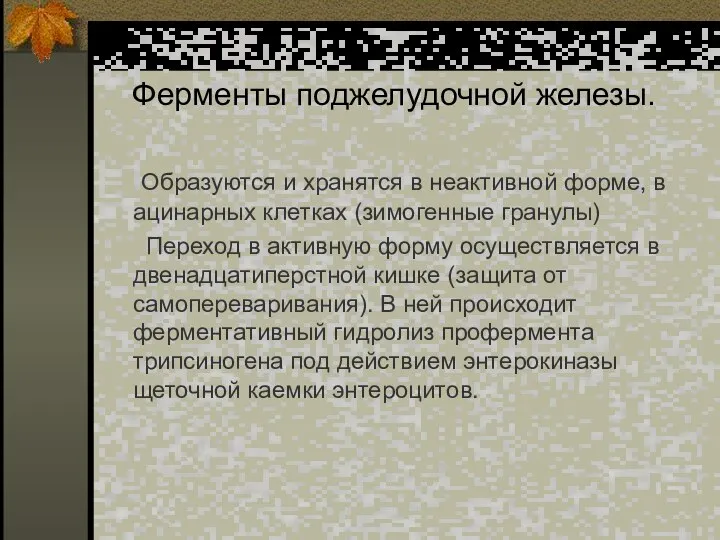 Ферменты поджелудочной железы. Образуются и хранятся в неактивной форме, в ацинарных