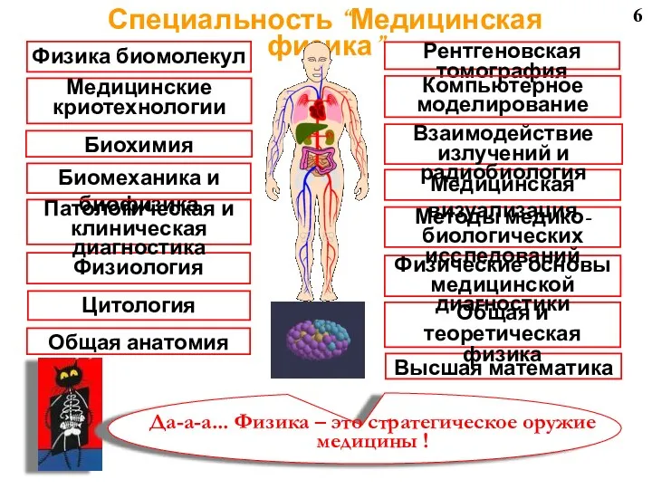 6 Специальность “Медицинская физика”