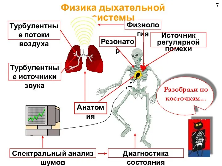 7 Физика дыхательной системы