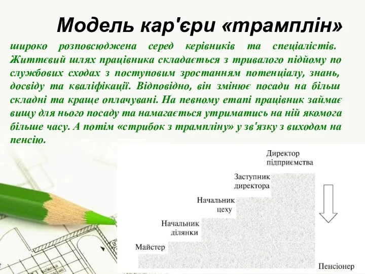 Модель кар'єри «трамплін» широко розповсюджена серед керівників та спеціалістів. Життєвий шлях