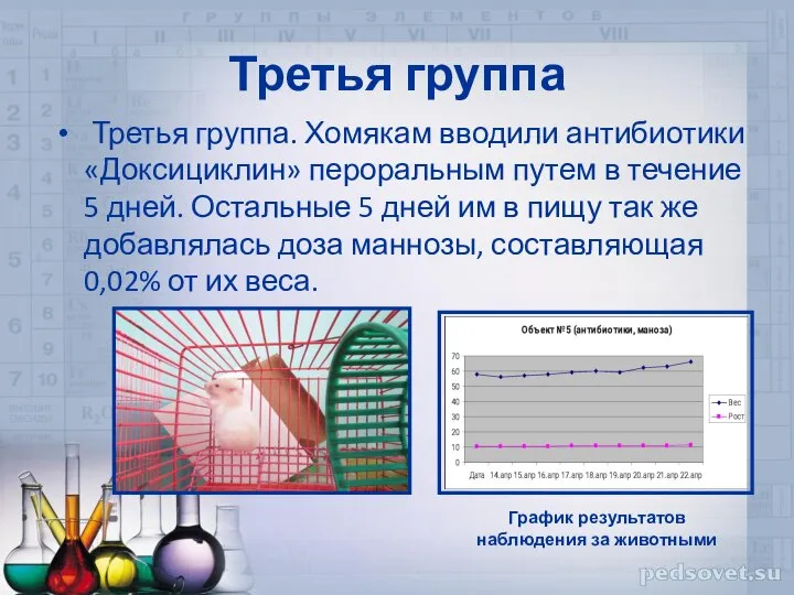 Третья группа Третья группа. Хомякам вводили антибиотики «Доксициклин» пероральным путем в