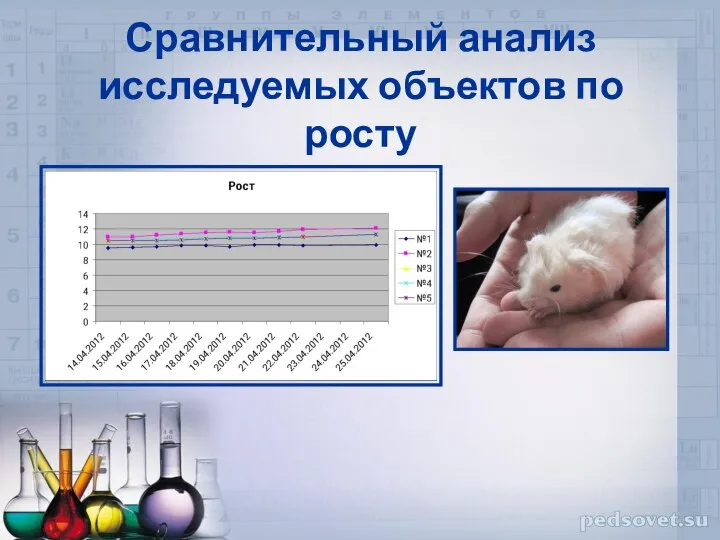 Сравнительный анализ исследуемых объектов по росту