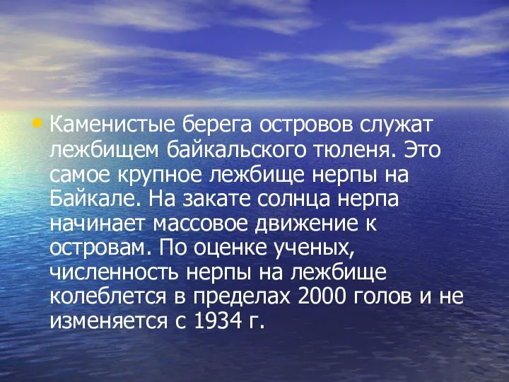 Каменистые берега островов служат лежбищем байкальского тюленя. Это самое крупное лежбище