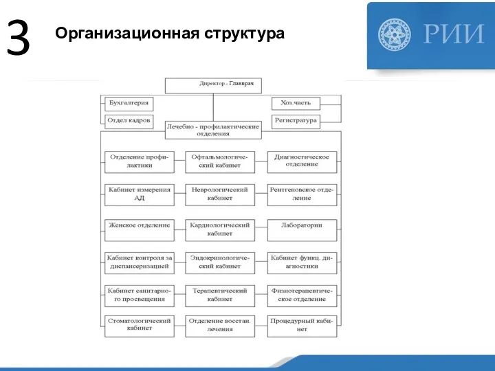 Организационная структура 3