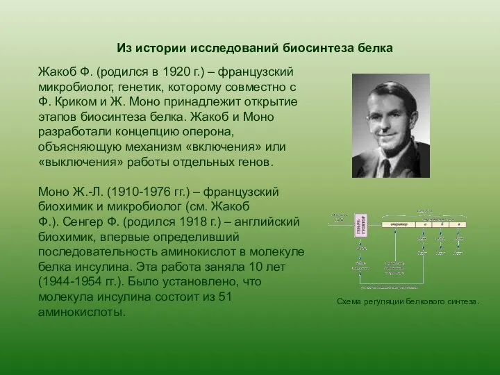 Из истории исследований биосинтеза белка Жакоб Ф. (родился в 1920 г.)