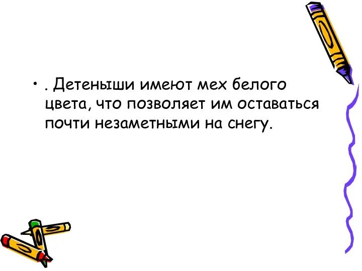 . Детеныши имеют мех белого цвета, что позволяет им оставаться почти незаметными на снегу.