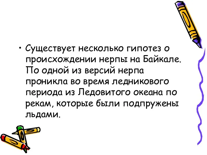 Существует несколько гипотез о происхождении нерпы на Байкале. По одной из