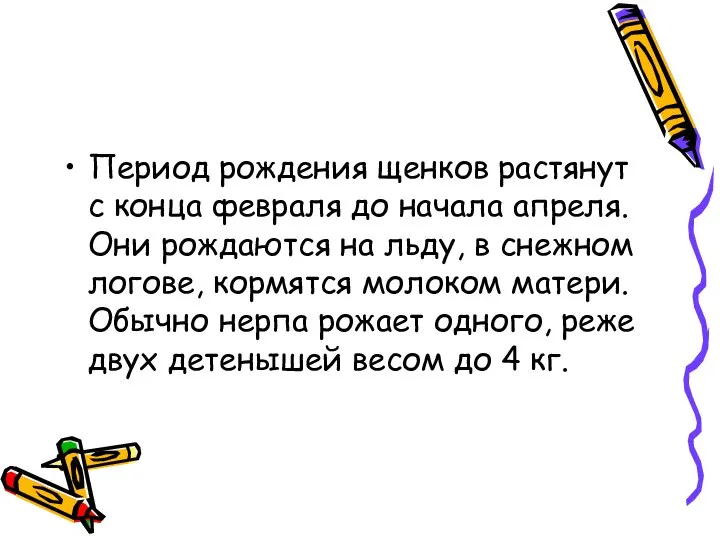 Период рождения щенков растянут с конца февраля до начала апреля. Они