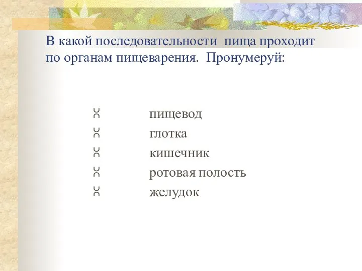 В какой последовательности пища проходит по органам пищеварения. Пронумеруй: ⩆ пищевод