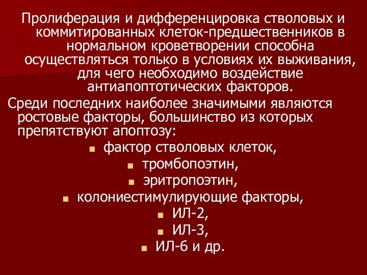 Пролиферация и дифференцировка стволовых и коммитированных клеток-предшественников в нормальном кроветворении способна