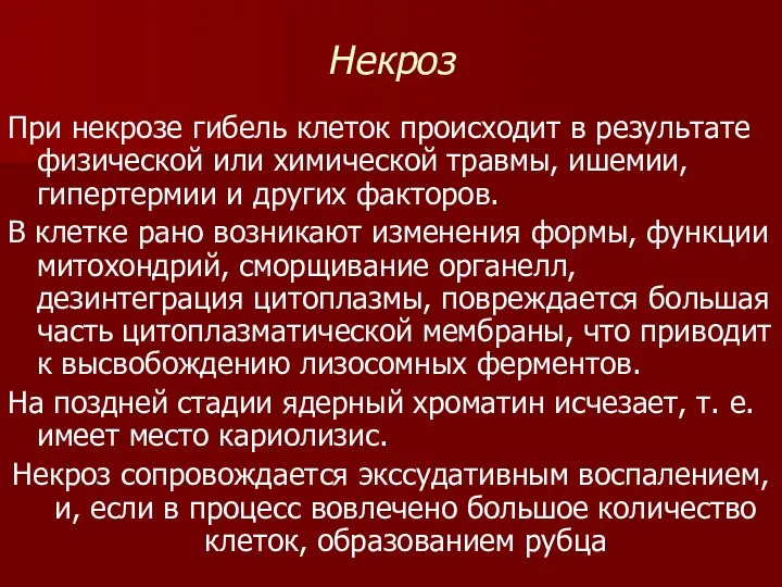 Некроз При некрозе гибель клеток происходит в результате физической или химической