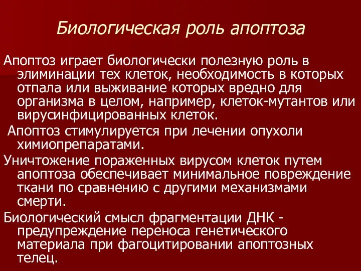 Биологическая роль апоптоза Апоптоз играет биологически полезную роль в элиминации тех