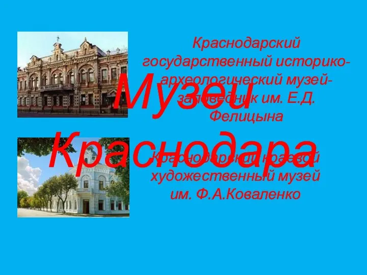 Краснодарский государственный историко-археологический музей-заповедник им. Е.Д. Фелицына Краснодарский краевой художественный музей им. Ф.А.Коваленко Музеи Краснодара