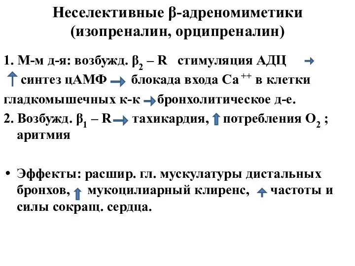 Неселективные β-адреномиметики (изопреналин, орципреналин) 1. М-м д-я: возбужд. β2 – R