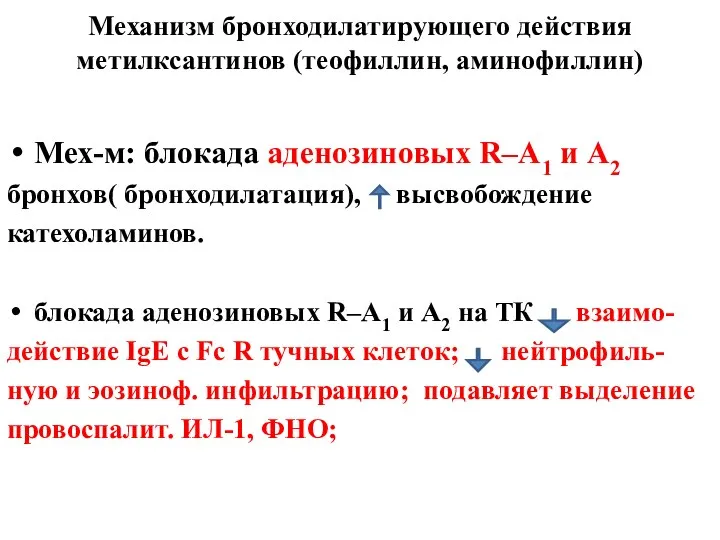 Механизм бронходилатирующего действия метилксантинов (теофиллин, аминофиллин) Мех-м: блокада аденозиновых R–А1 и