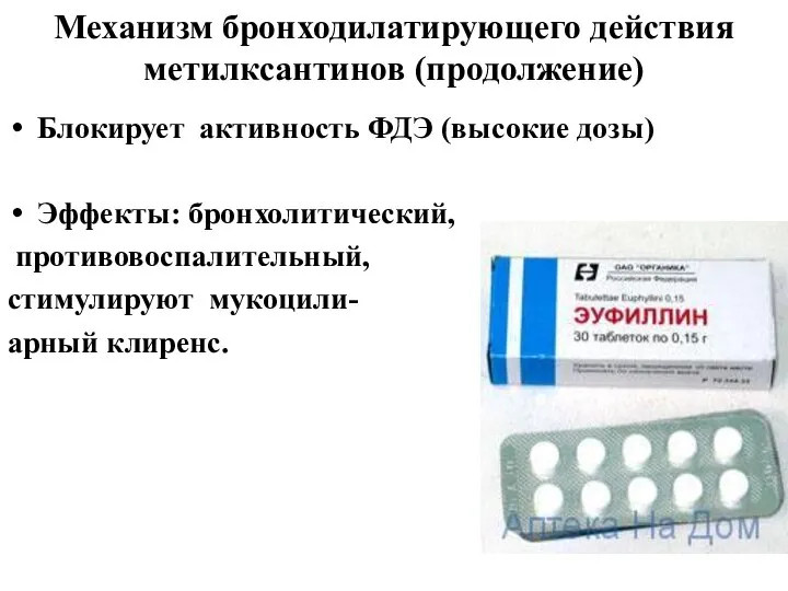 Механизм бронходилатирующего действия метилксантинов (продолжение) Блокирует активность ФДЭ (высокие дозы) Эффекты: