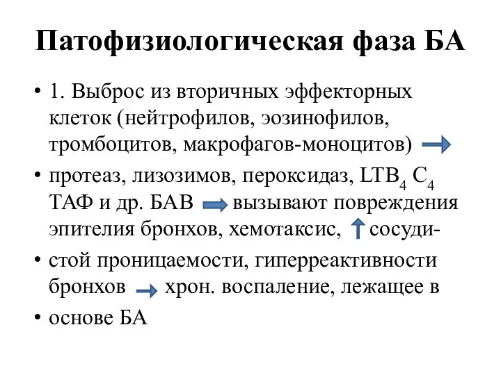 Патофизиологическая фаза БА 1. Выброс из вторичных эффекторных клеток (нейтрофилов, эозинофилов,