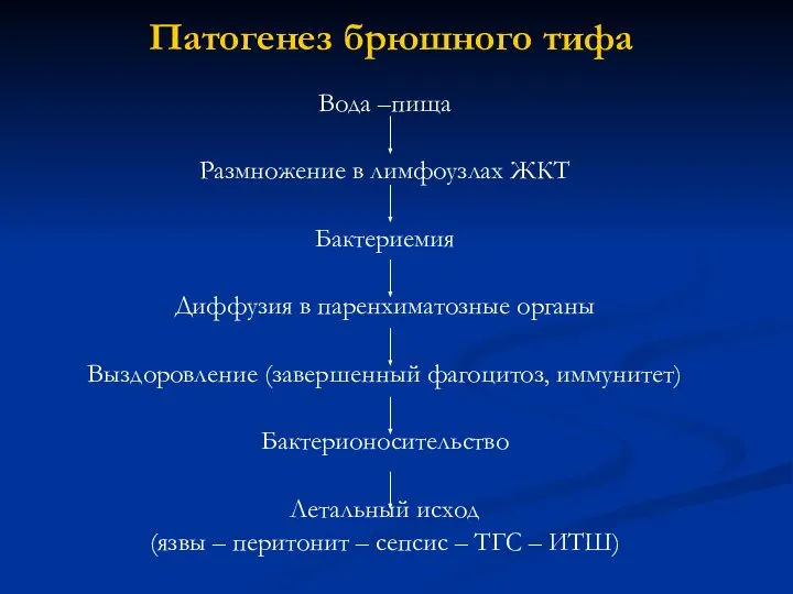 Патогенез брюшного тифа Вода –пища Размножение в лимфоузлах ЖКТ Бактериемия Диффузия