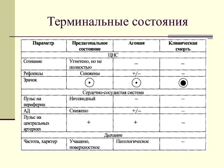 Терминальные состояния