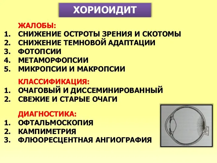 ХОРИОИДИТ ЖАЛОБЫ: СНИЖЕНИЕ ОСТРОТЫ ЗРЕНИЯ И СКОТОМЫ СНИЖЕНИЕ ТЕМНОВОЙ АДАПТАЦИИ ФОТОПСИИ