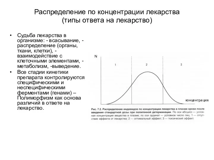 Распределение по концентрации лекарства (типы ответа на лекарство) Судьба лекарства в