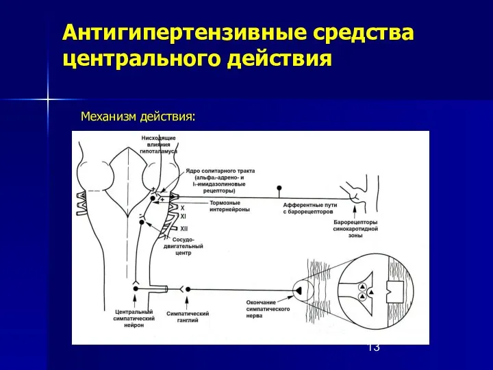 Антигипертензивные средства центрального действия Механизм действия: