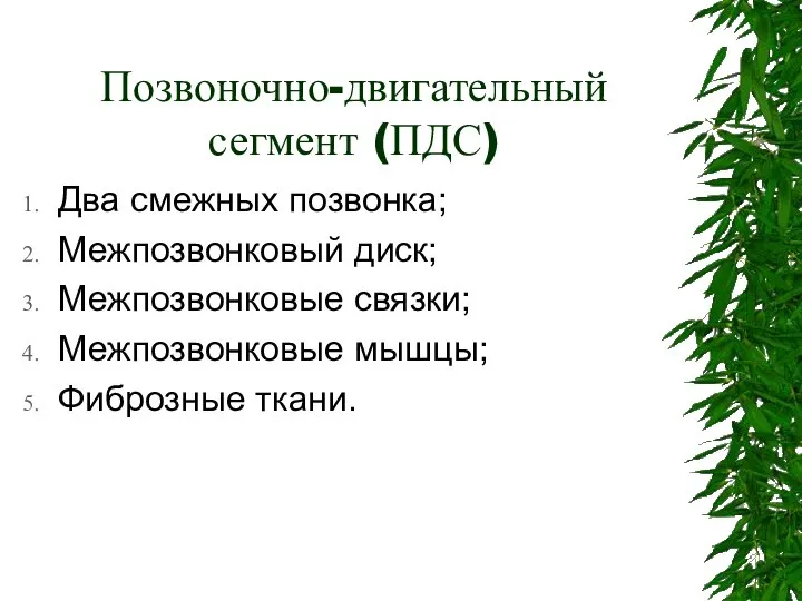 Позвоночно-двигательный сегмент (ПДС) Два смежных позвонка; Межпозвонковый диск; Межпозвонковые связки; Межпозвонковые мышцы; Фиброзные ткани.