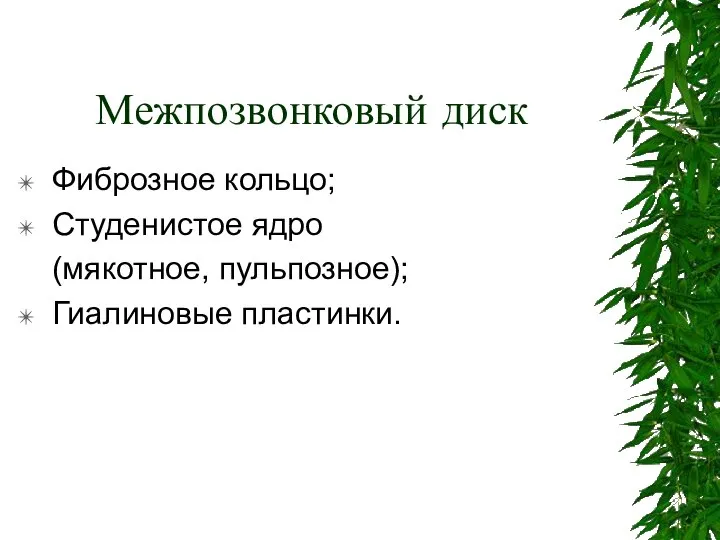 Межпозвонковый диск Фиброзное кольцо; Студенистое ядро (мякотное, пульпозное); Гиалиновые пластинки.