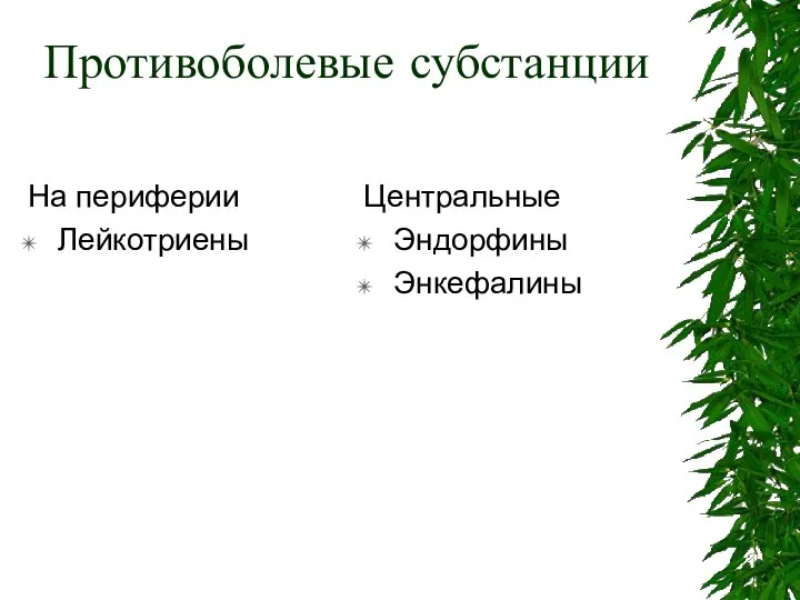 Противоболевые субстанции На периферии Лейкотриены Центральные Эндорфины Энкефалины