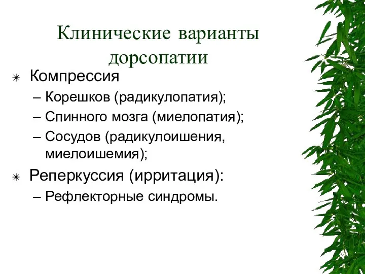 Клинические варианты дорсопатии Компрессия Корешков (радикулопатия); Спинного мозга (миелопатия); Сосудов (радикулоишения, миелоишемия); Реперкуссия (ирритация): Рефлекторные синдромы.