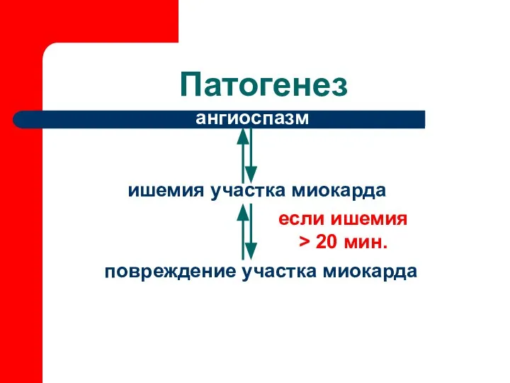 Патогенез ангиоспазм ишемия участка миокарда повреждение участка миокарда если ишемия > 20 мин.