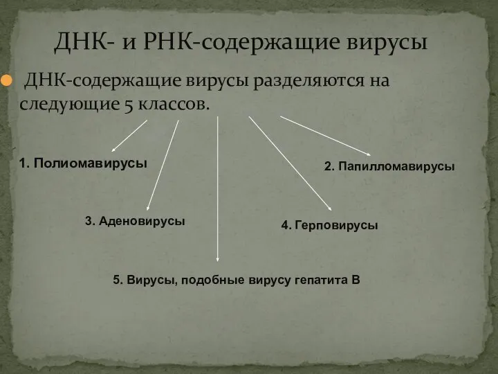 ДНК- и РНК-содержащие вирусы ДНК-содержащие вирусы разделяются на следующие 5 классов.