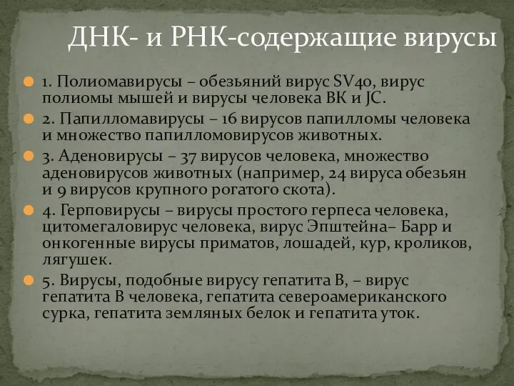 ДНК- и РНК-содержащие вирусы 1. Полиомавирусы – обезьяний вирус SV40, вирус