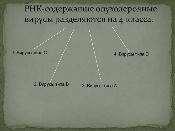 РНК-содержащие опухолеродные вирусы разделяются на 4 класса. 1. Вирусы типа С