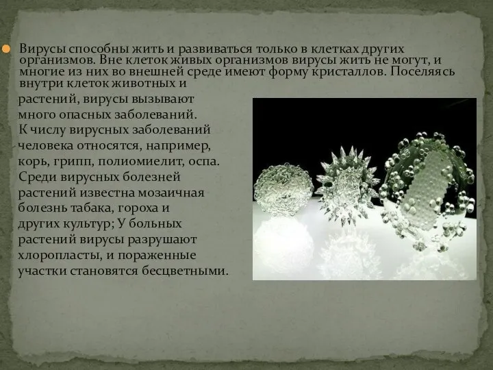 Вирусы способны жить и развиваться только в клетках других организмов. Вне