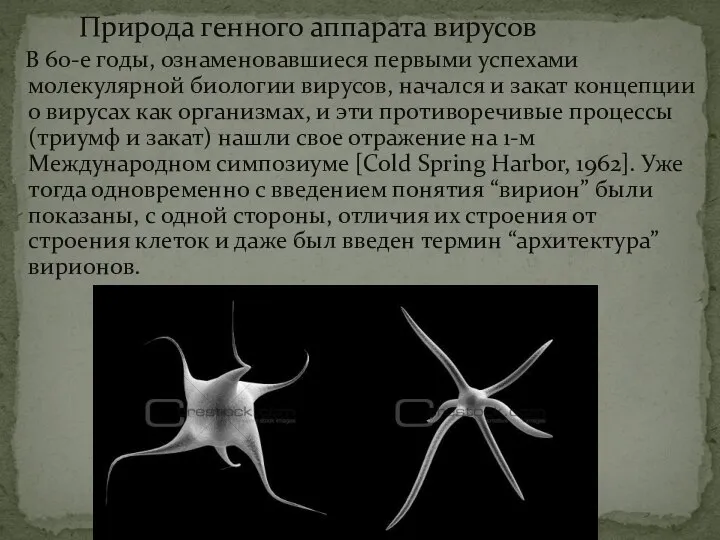 Природа генного аппарата вирусов В 60-е годы, ознаменовавшиеся первыми успехами молекулярной