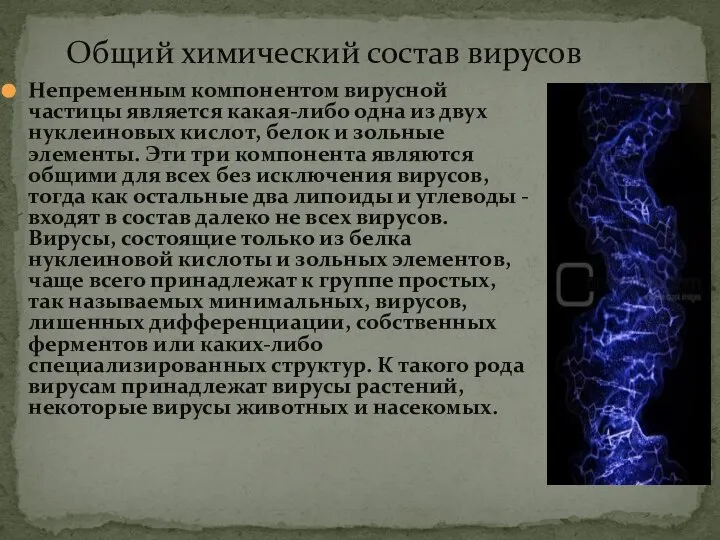 Общий химический состав вирусов Непременным компонентом вирусной частицы является какая-либо одна