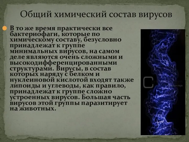 Общий химический состав вирусов В то же время практически все бактериофаги,