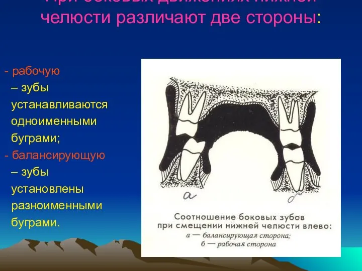 При боковых движениях нижней челюсти различают две стороны: - рабочую –