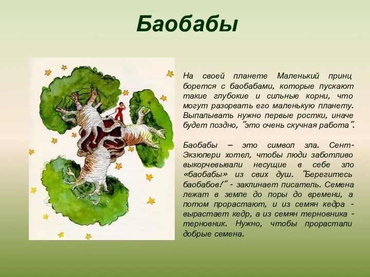 Баобабы На своей планете Маленький принц борется с баобабами, которые пускают