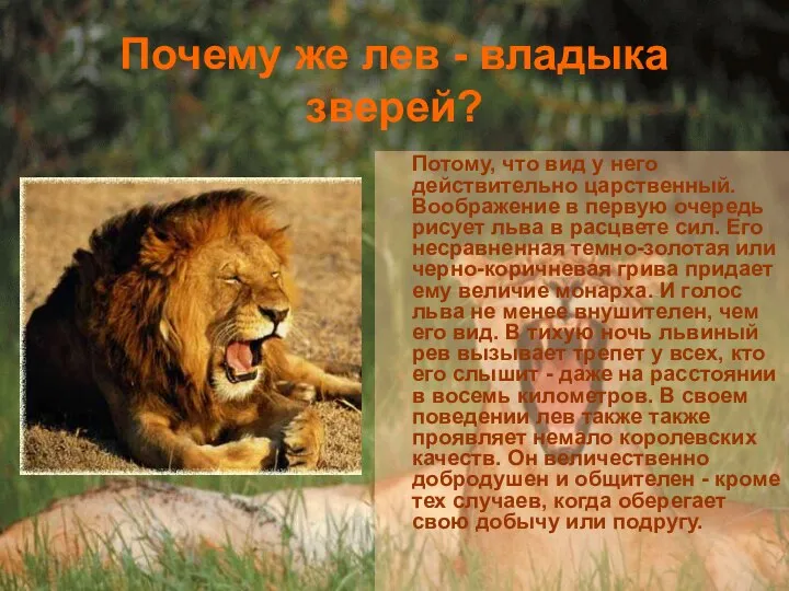 Почему же лев - владыка зверей? Потому, что вид у него